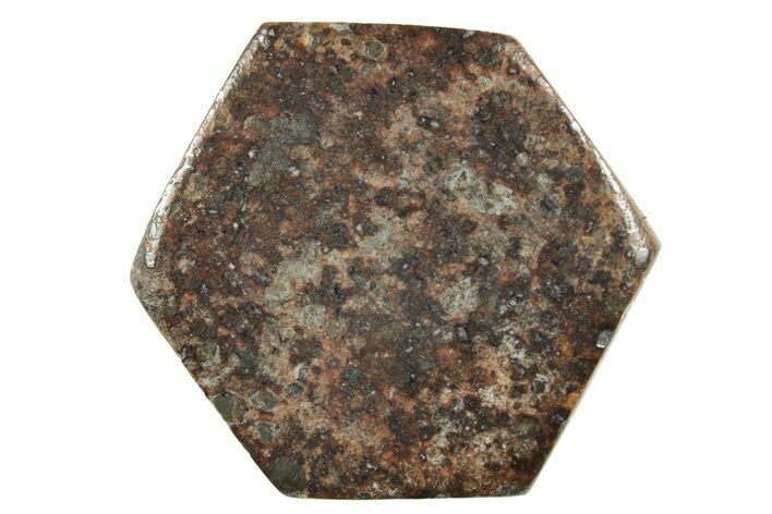 Stony Chondrite Cabochon ( g) - Meteorite #238205